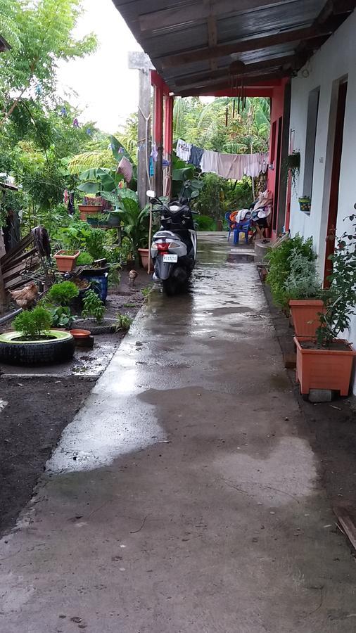 Bed and Breakfast Mi Ranchito Santa Cruz Zewnętrze zdjęcie